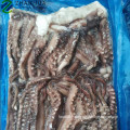 Frozen Peru Giant Gigas Squid Tentacle Head Supplier